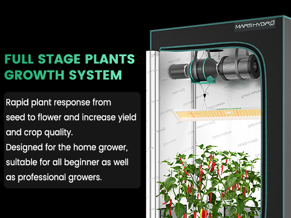 FULL STAGE PLANTS GROWTH SYSTEM