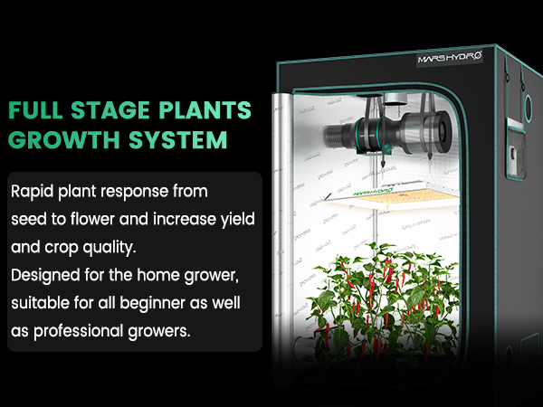 FULL STAGE PLANTS GROWTH SYSTEMR