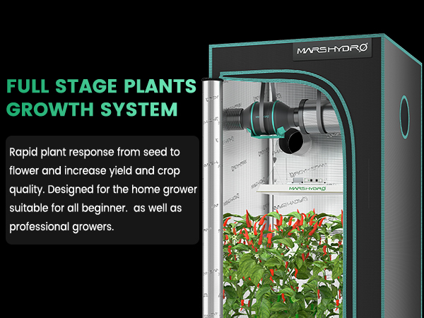 FULL STAGE PLANTSGROWTH SYSTEM