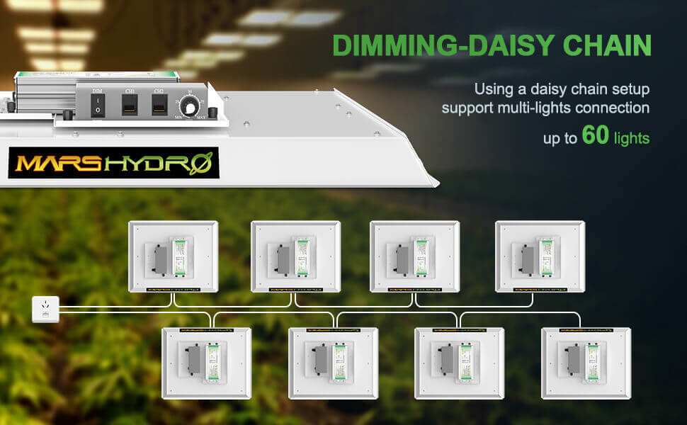 Dimming daisy chain, connected TS 1000 to use