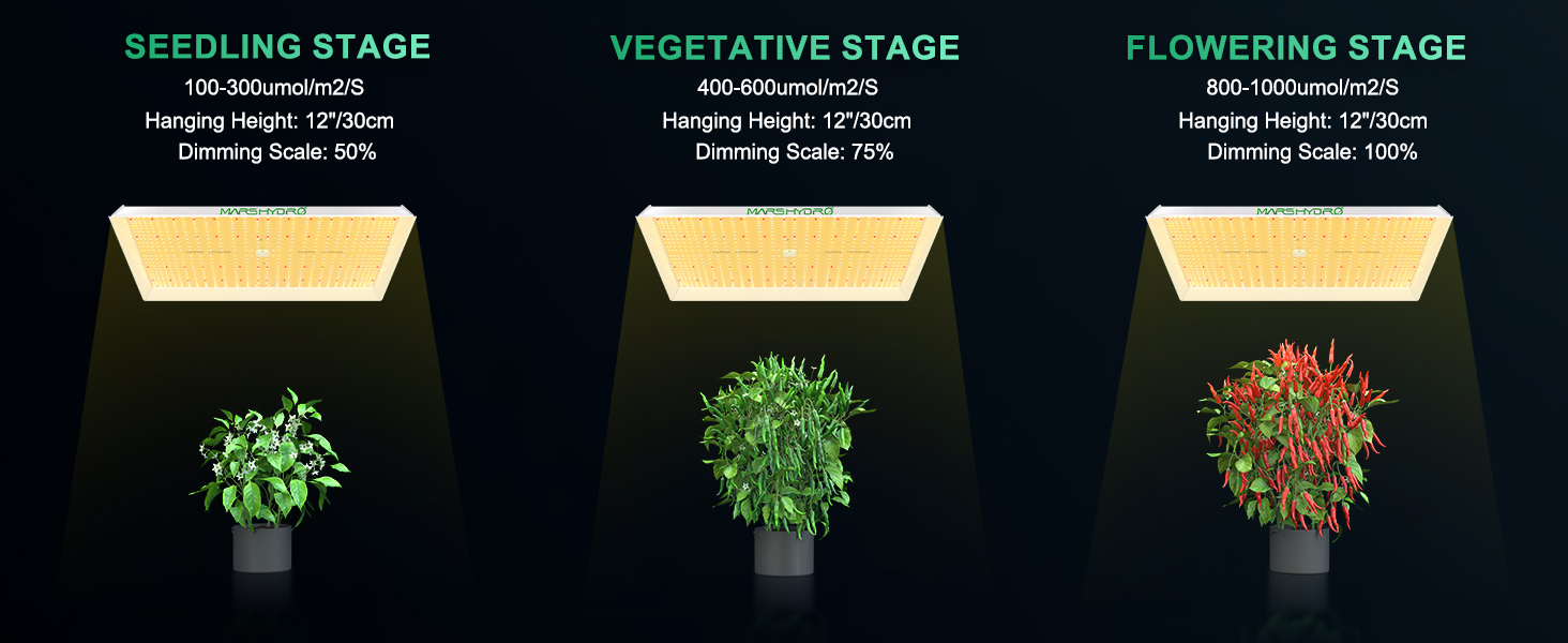 Mars Hydro LED with all stage of plants