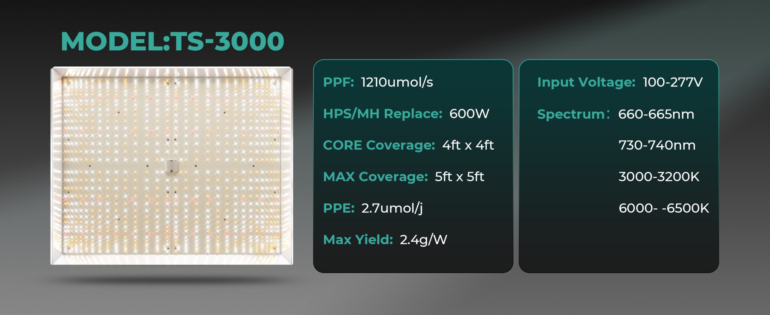 Mars Hydro TS3000 Product parameter (2)