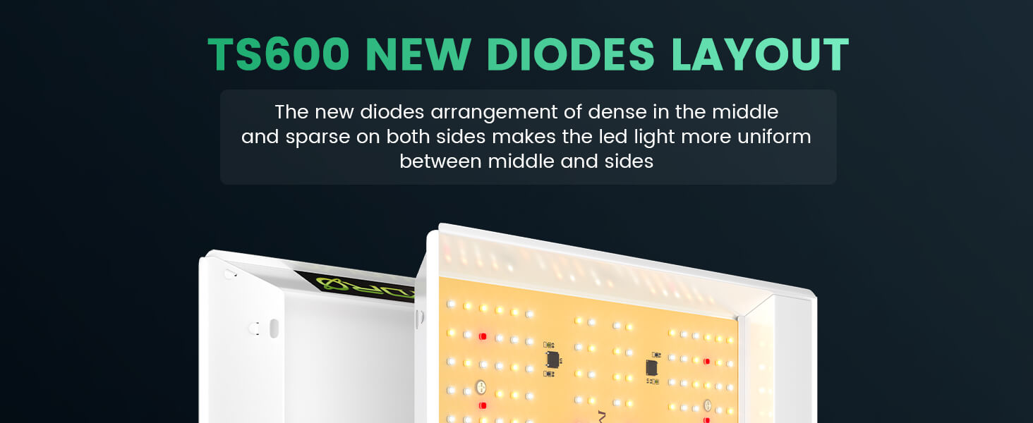 New Diodes Layout of TS600 LED Grow Light
