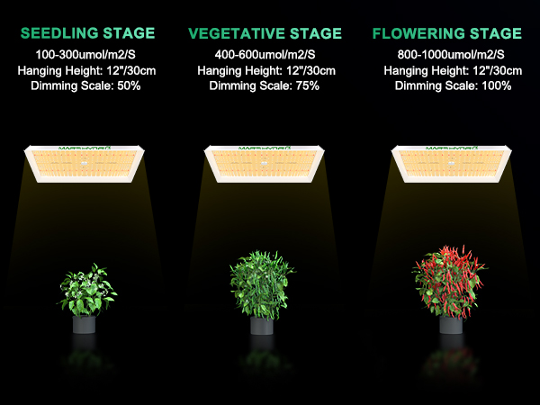 Mars Hydro with all stage of plants