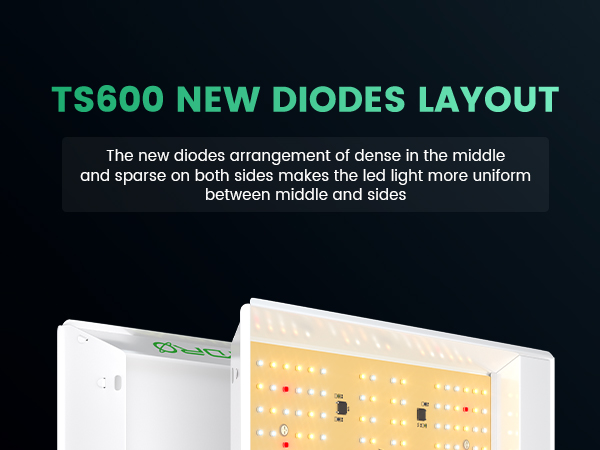 TS600 NEW DIODES LAYOUT