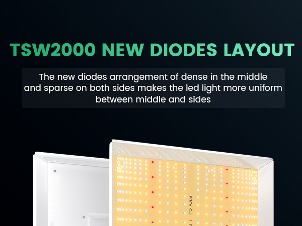 TSW2000 NEW DIODES LAYOUT