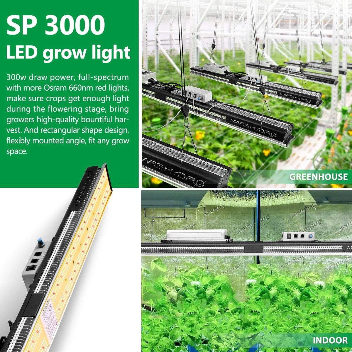 300W LED grow light, SP 3000 is ideal for greenhouse or indoor tent to bring bountiful harvest