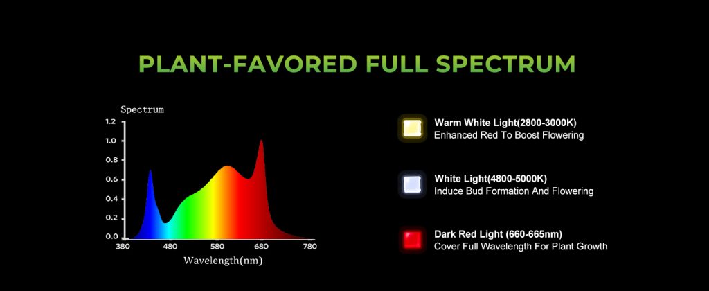 Full Spectrum of FC-E6500 LED