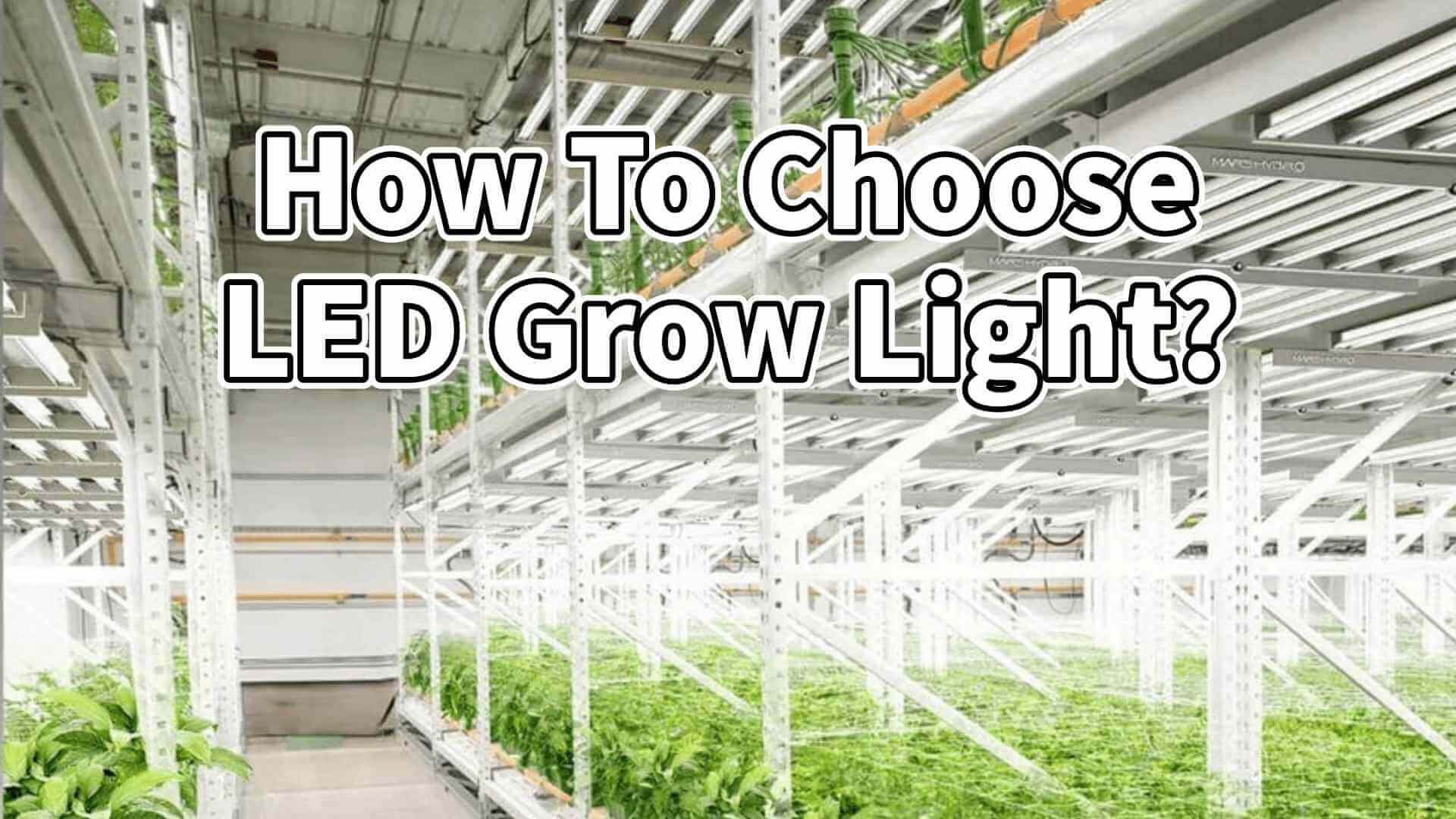 Tips for Choosing Grow Lights
