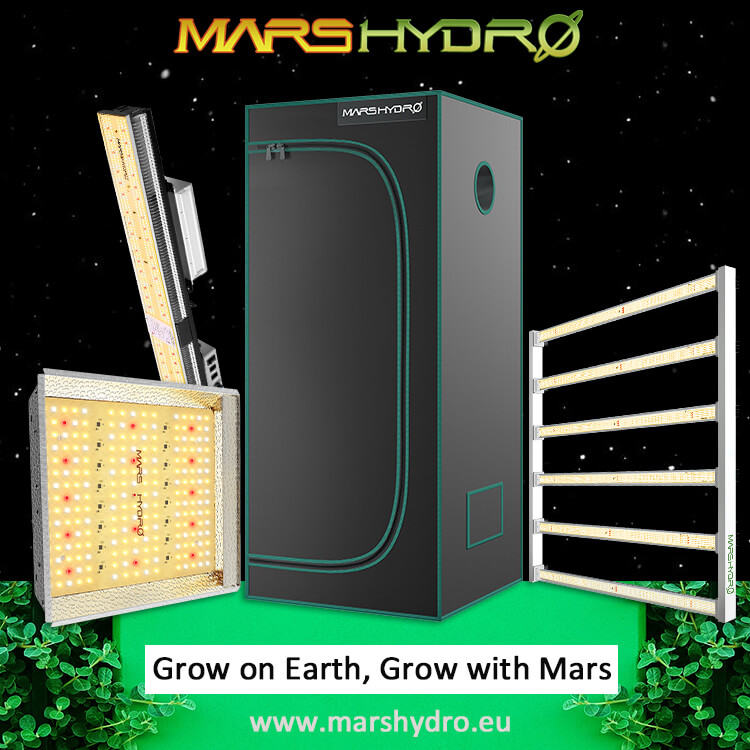Happy Plants with Mars Hydro LED Grow Light