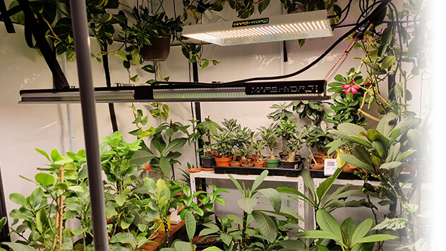Mars Hydro LED Grow Light for Indoor Personal Grower