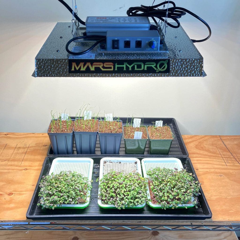 TS 1000 LED grow light for seedling