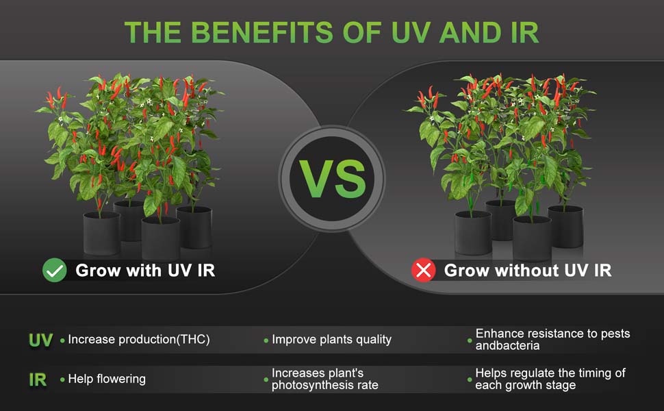 Benefits of UV IR