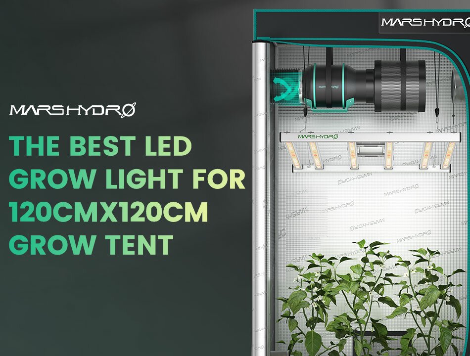 Best led light on sale for grow tent