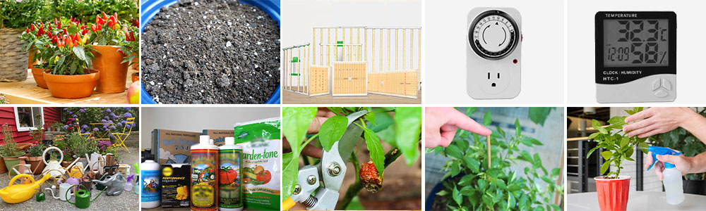 setup you need to prepare for plants to grow indoors