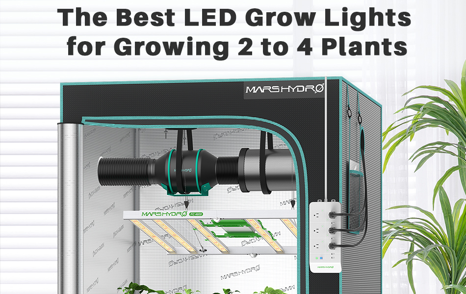 The best led grow lights for growing 2 to 4 plants