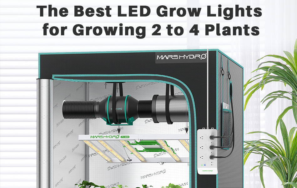 The Best LED Grow Lights for Growing 2 to 4 Plants