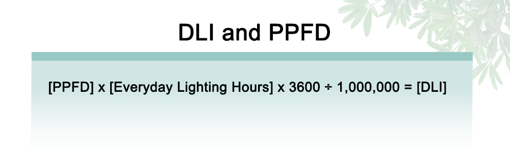 DLI and PPFD