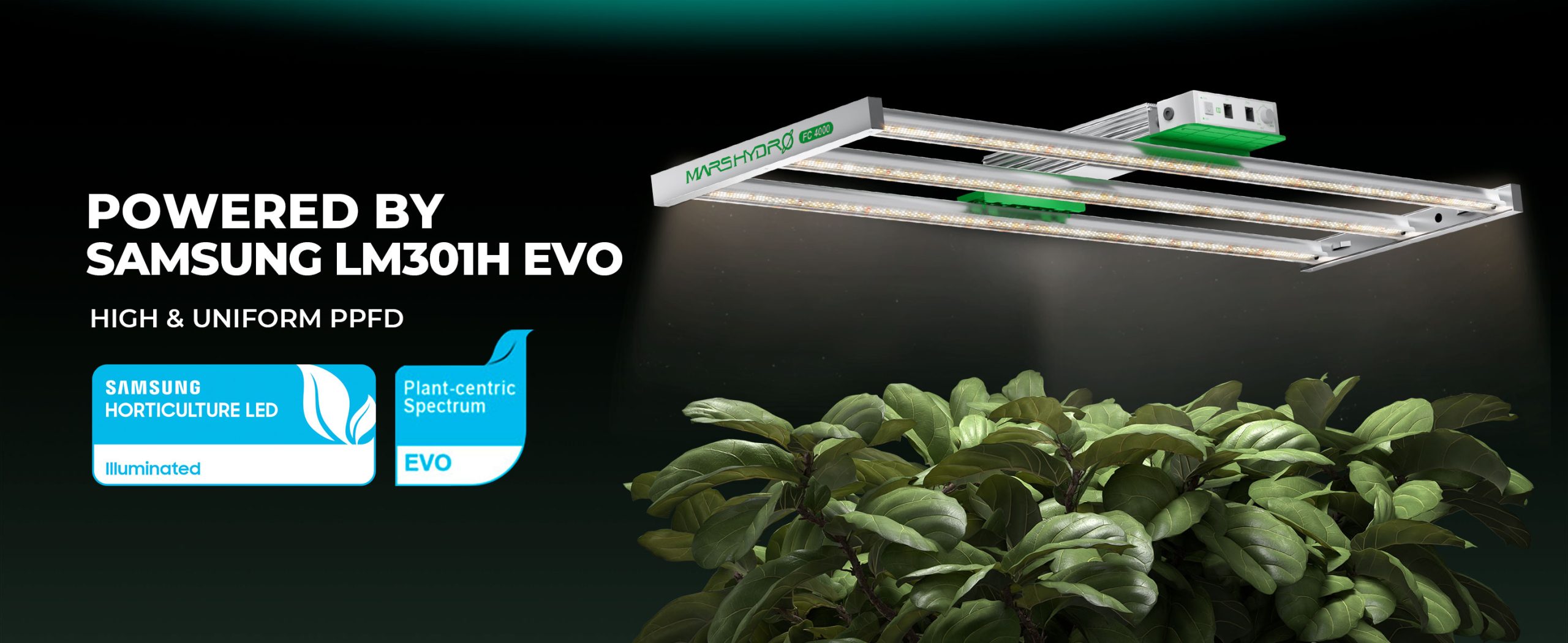 FC-4000-EVO led grow lights for indoor plants