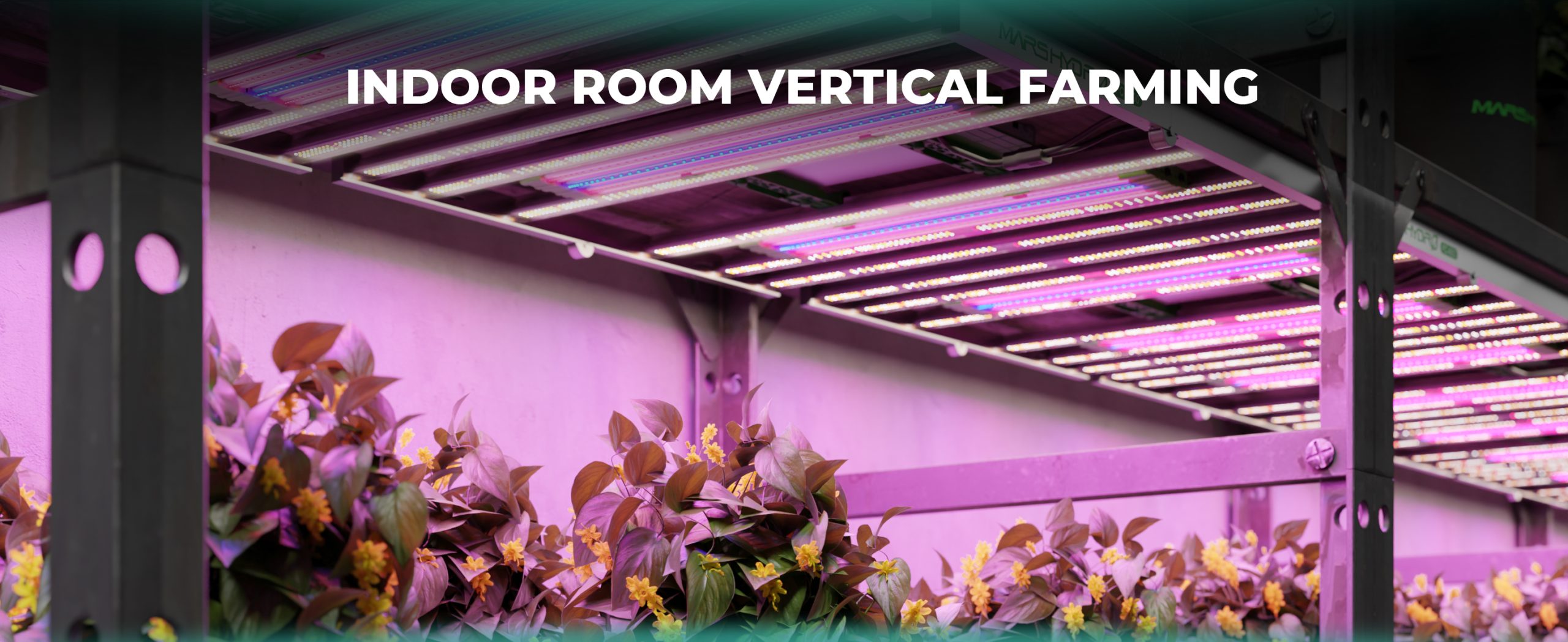 allevamento verticale in sala interna con luce supplementare adlite 2