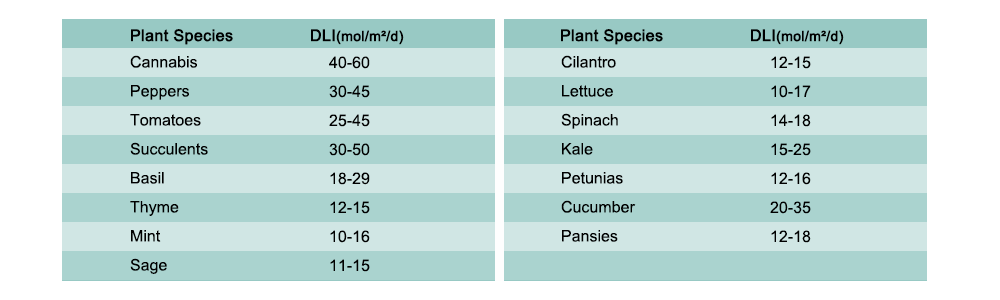 DLI for Plants