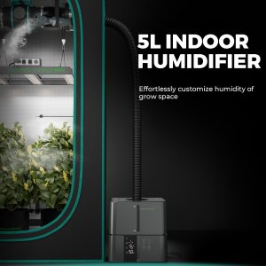 5L humidifier