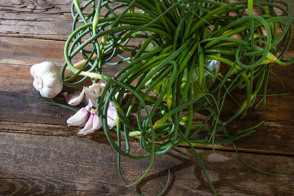 garlic scapes